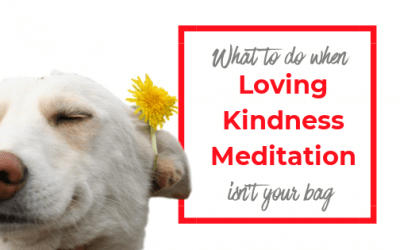 What do you when Loving Kindness Meditation isn’t your bag